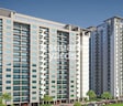 Paarth Goldfinch State