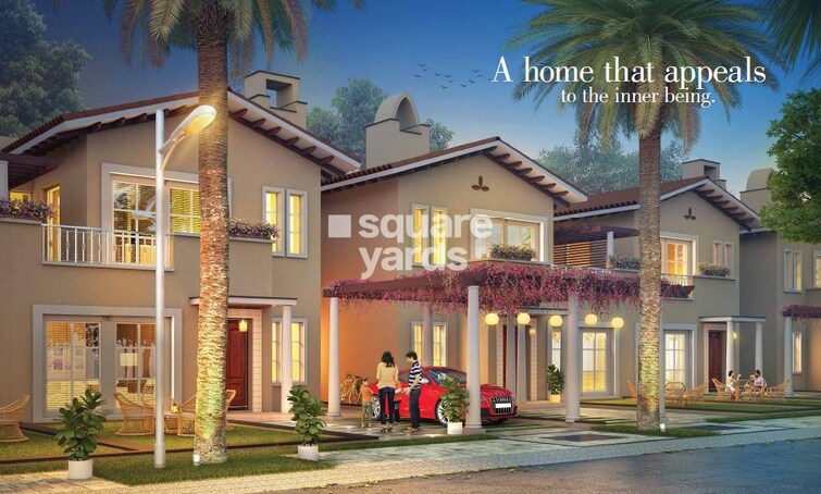 Pintail Park City Tower View