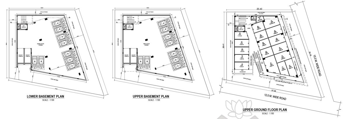 Ritaraa Business Axis Floor Plans