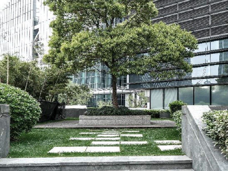 Shalimar Business District