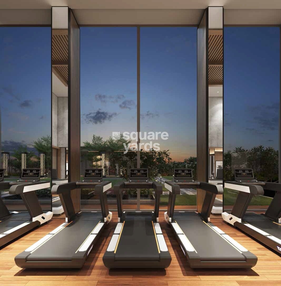 Shalimar Gallant West