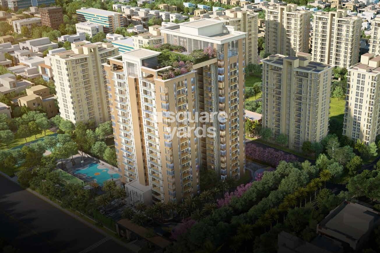 Shalimar Gallant West