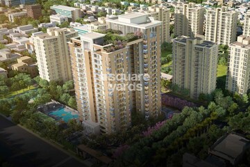 Shalimar Gallant West