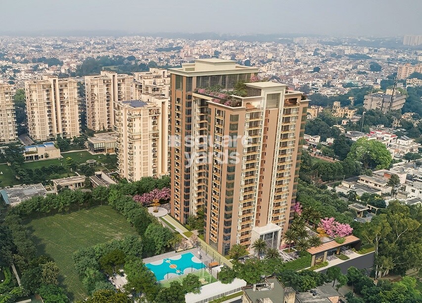 Shalimar Gallant West