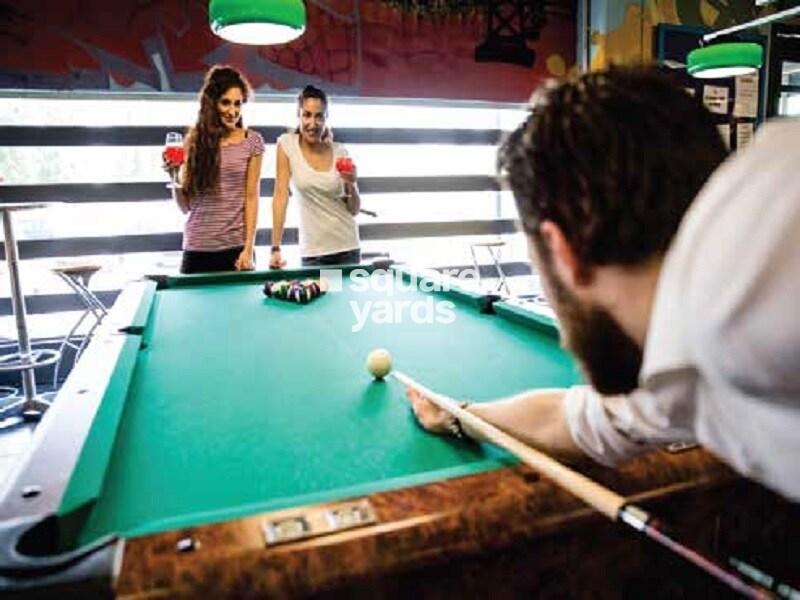 Shalimar Garden Bay Aster