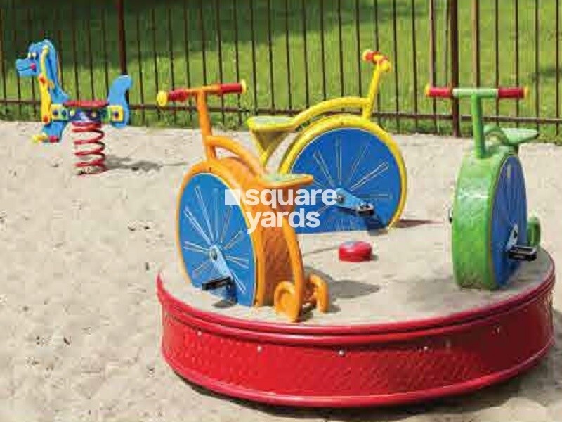 Shalimar Garden Bay Aster