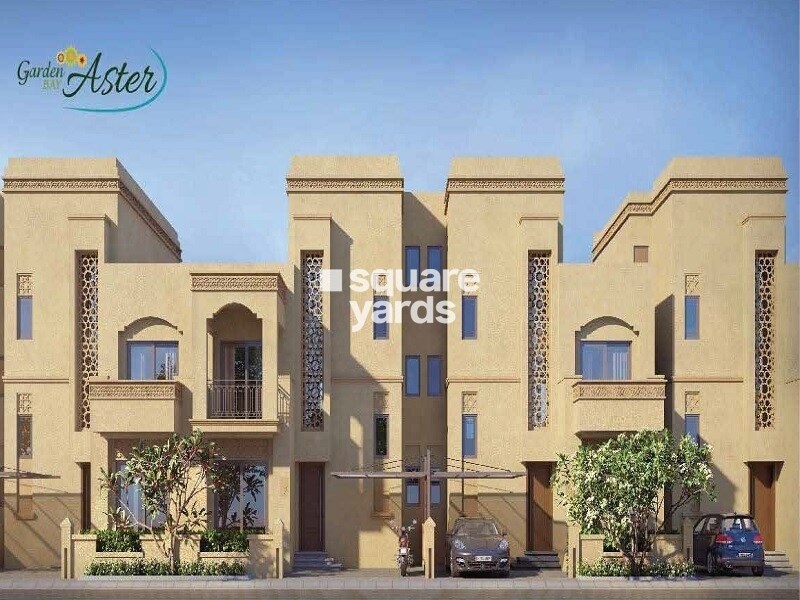 Shalimar Garden Bay Aster