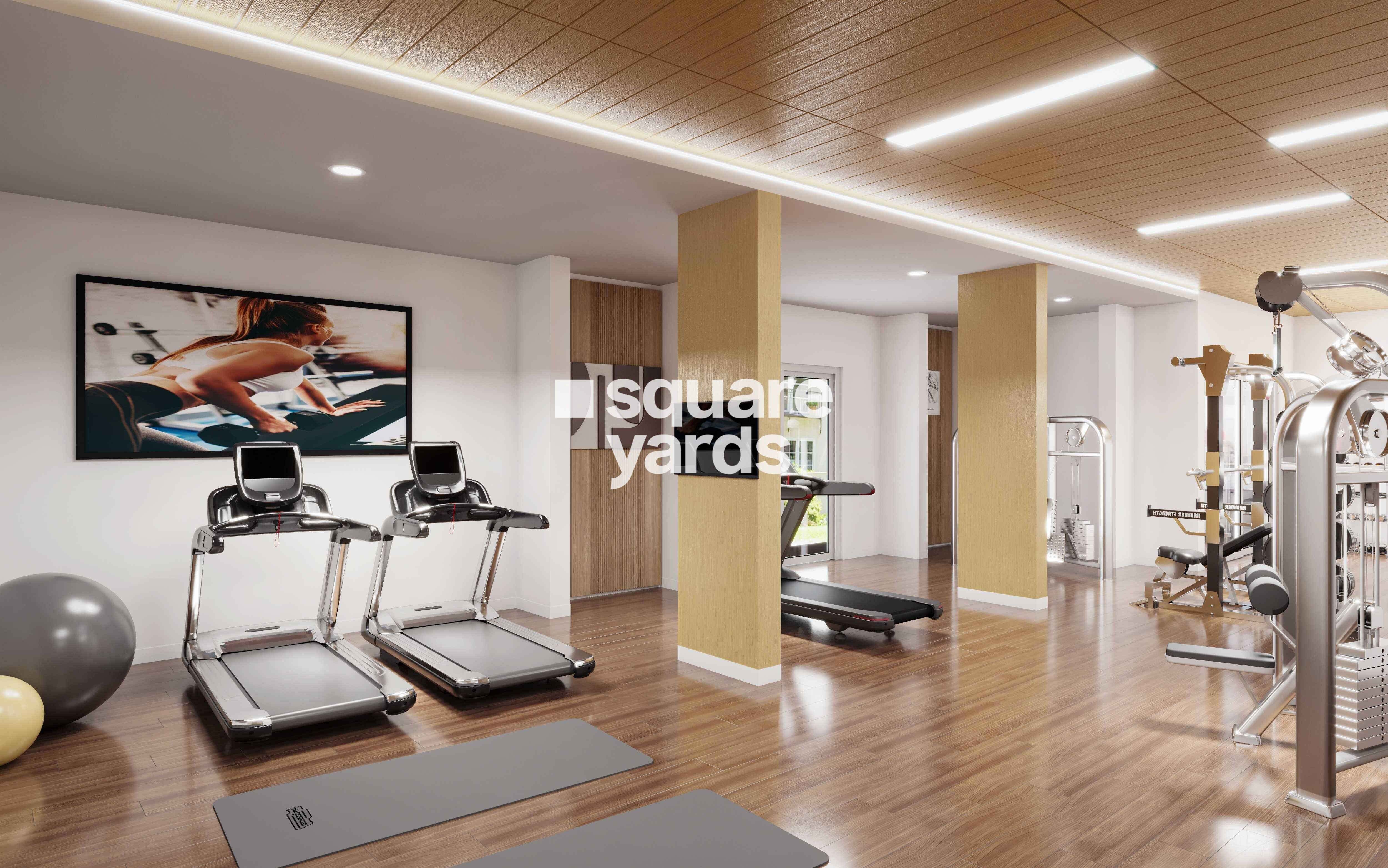 Shalimar Garden Bay Crown