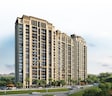 Shalimar Garden Bay Crown