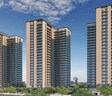 Shalimar One World Whispering Woods