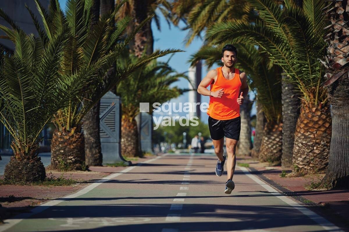 Shalimar Oneworld Vista