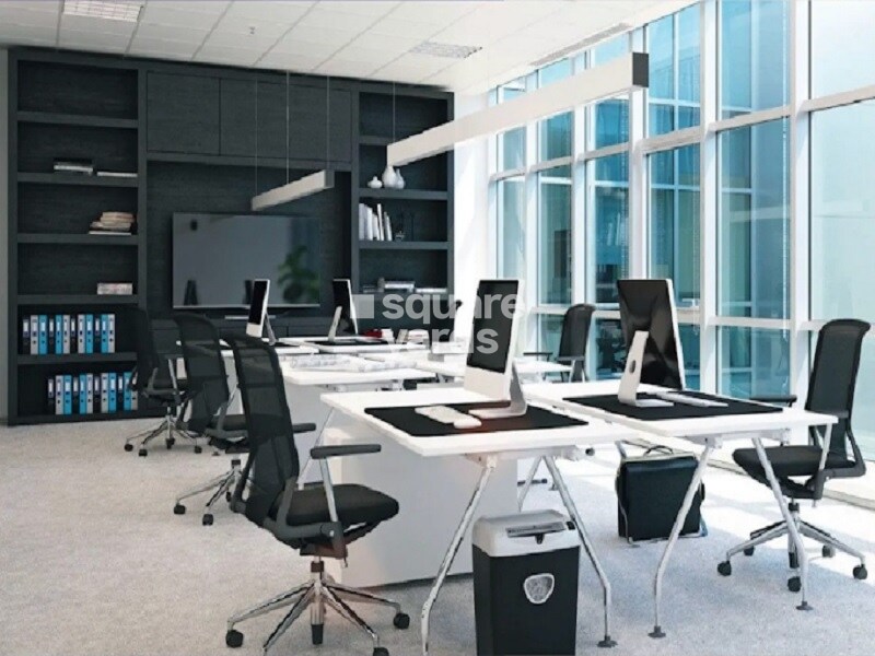 SRV Silicon Gold Amenities-Features 2