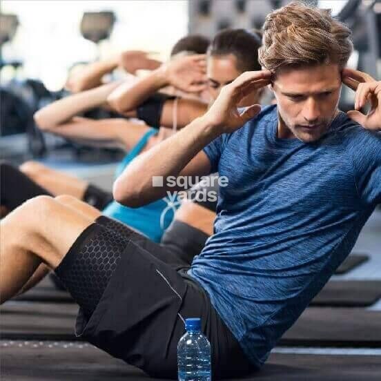 Urban Axis Urban Woods