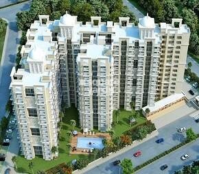 Antriksh India Abril Green