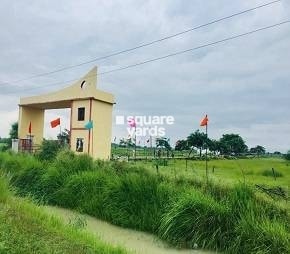 Awadh Green City