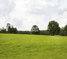 Bassi Metro Greens Featured Image