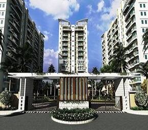 Gold Star Homes
