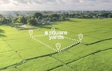 Iconic Banjara Farms Featured Image