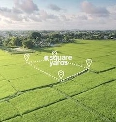 Iconic Banjara Farms Iconic Banjara Farms