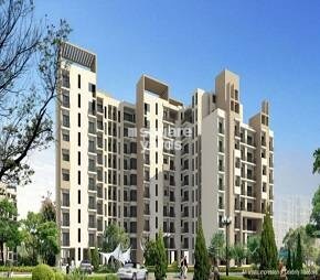 Levana Celebrity Meadows