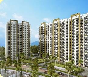 Paarth Canary State