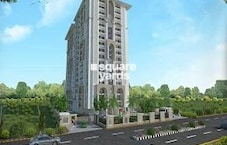 Rohit Height Featured Image
