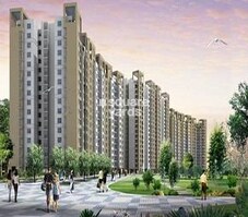 Rohtas Platina Featured Image