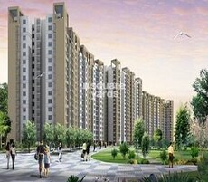 Rohtas Platina Featured Image