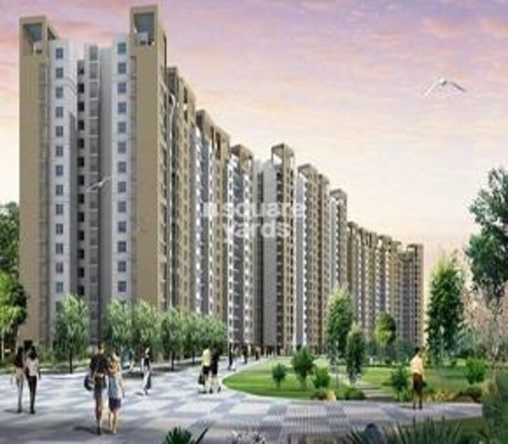 Rohtas Platina Cover Image