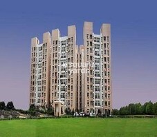 Rohtas Plumeria Featured Image