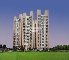 Rohtas Plumeria Featured Image