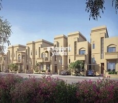 Shalimar Garden Bay Aster Featured Image