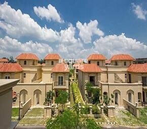 Shalimar Paradise, Faizabad Road, Lucknow