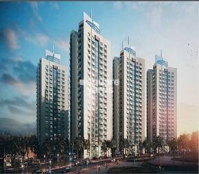Shalimar Vista