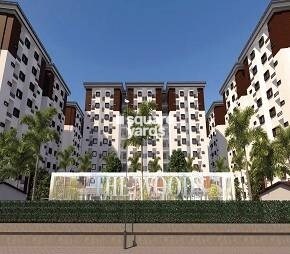 Touchwood The Woods Naubasta