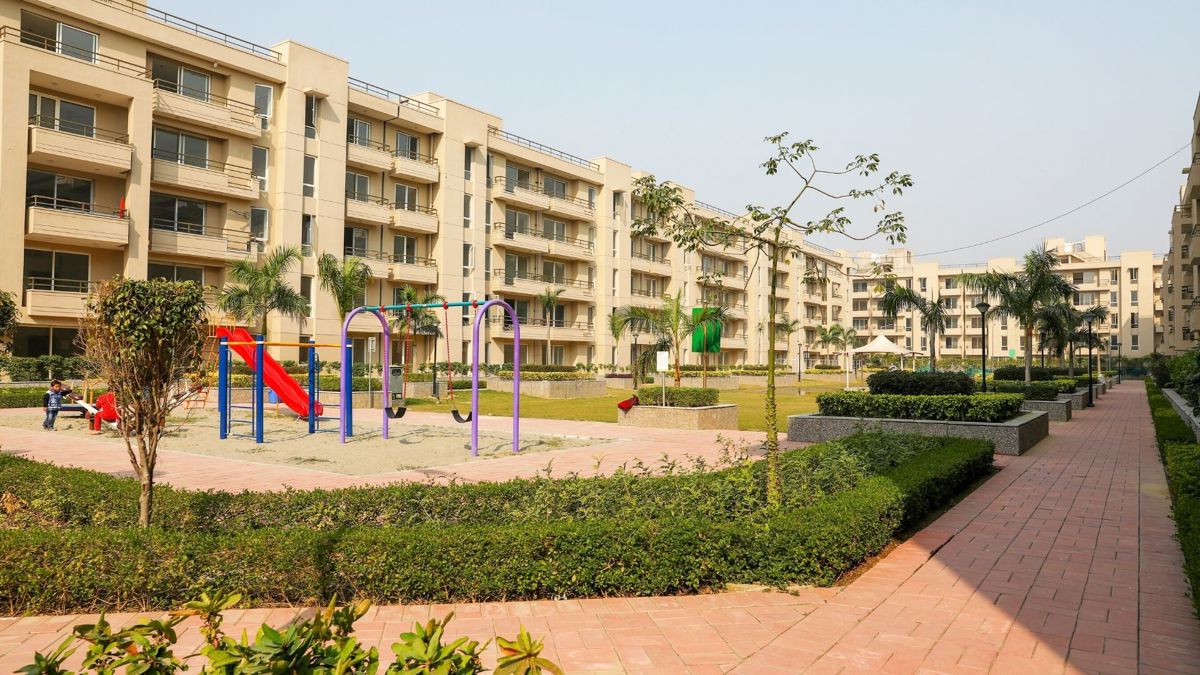 Alpha Corp MeerutOne