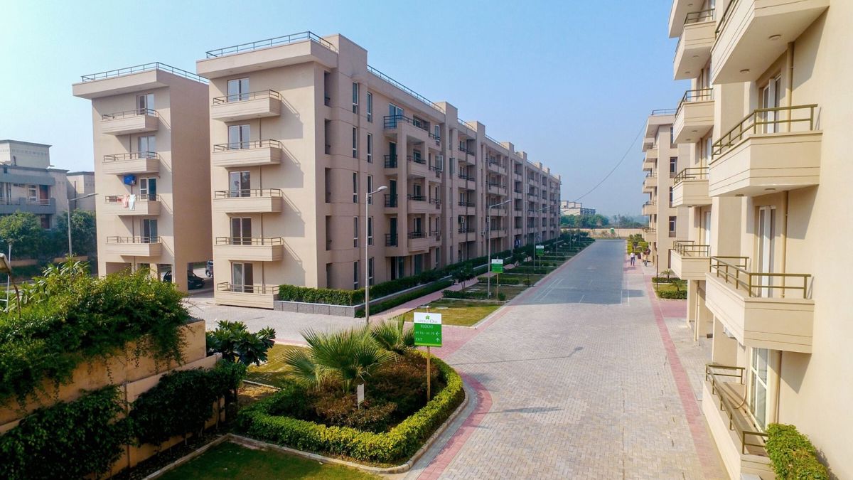 Alpha Corp MeerutOne