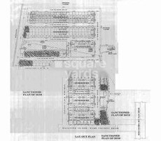 Acme Orchid Green Featured Image