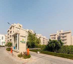 Alpha Corp MeerutOne