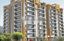 Needhi Shree Cloud 9 Featured Image