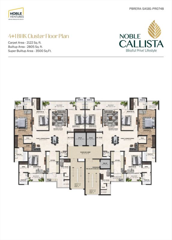 Noble Callista