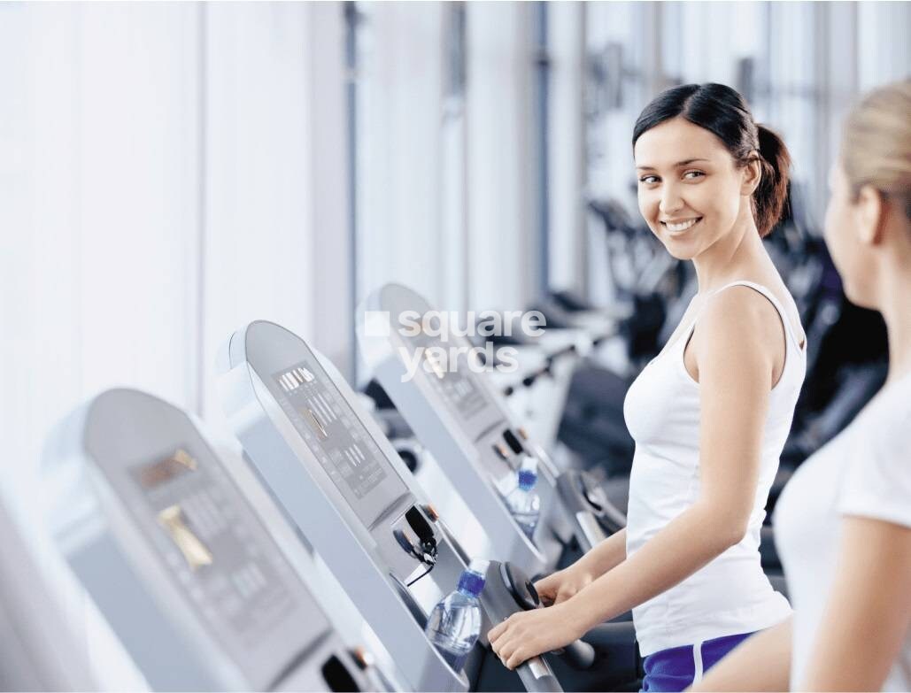 66 Palazzio Gymnasium Image