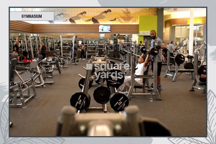 Acme 36 Allure Amenities-Features 1