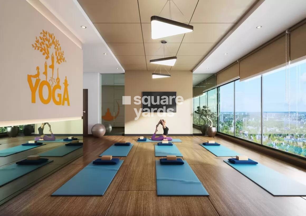 Agarwal Floresta Maple