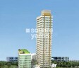 Amann Solitaire