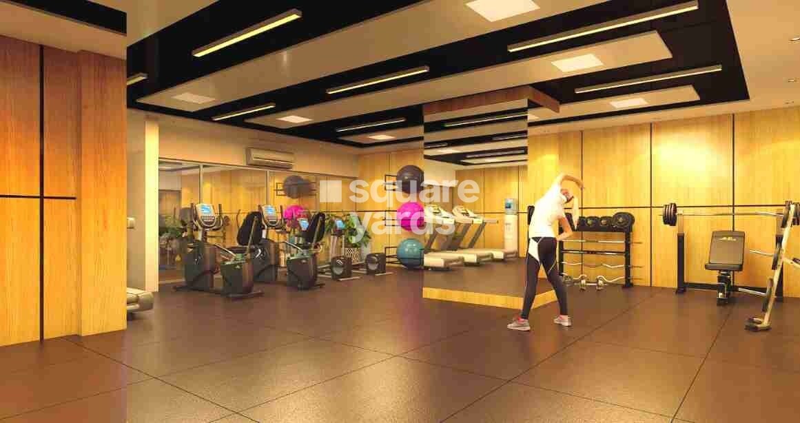 Ambit Vista Amenities-Features 2