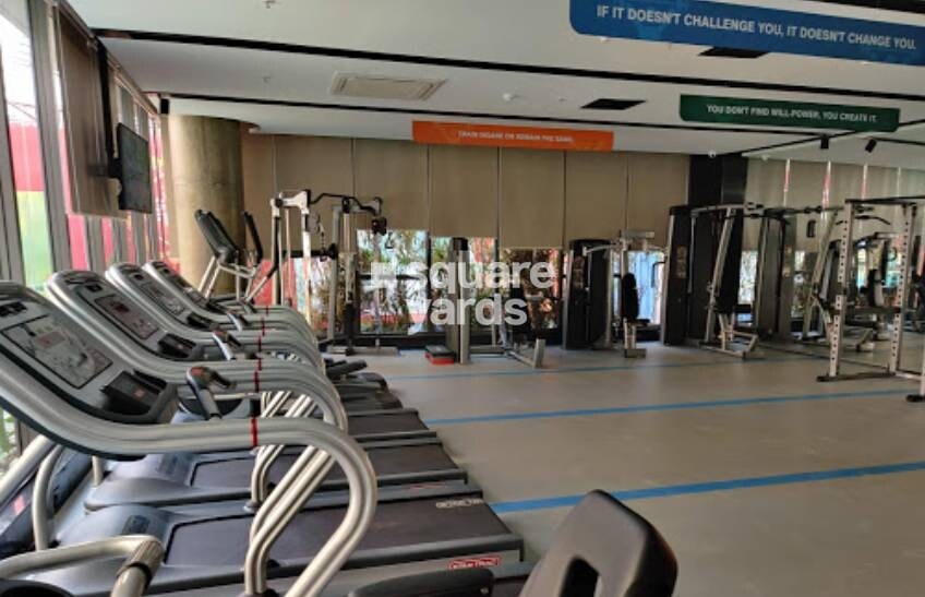 Arkade Earth Gymnasium Image