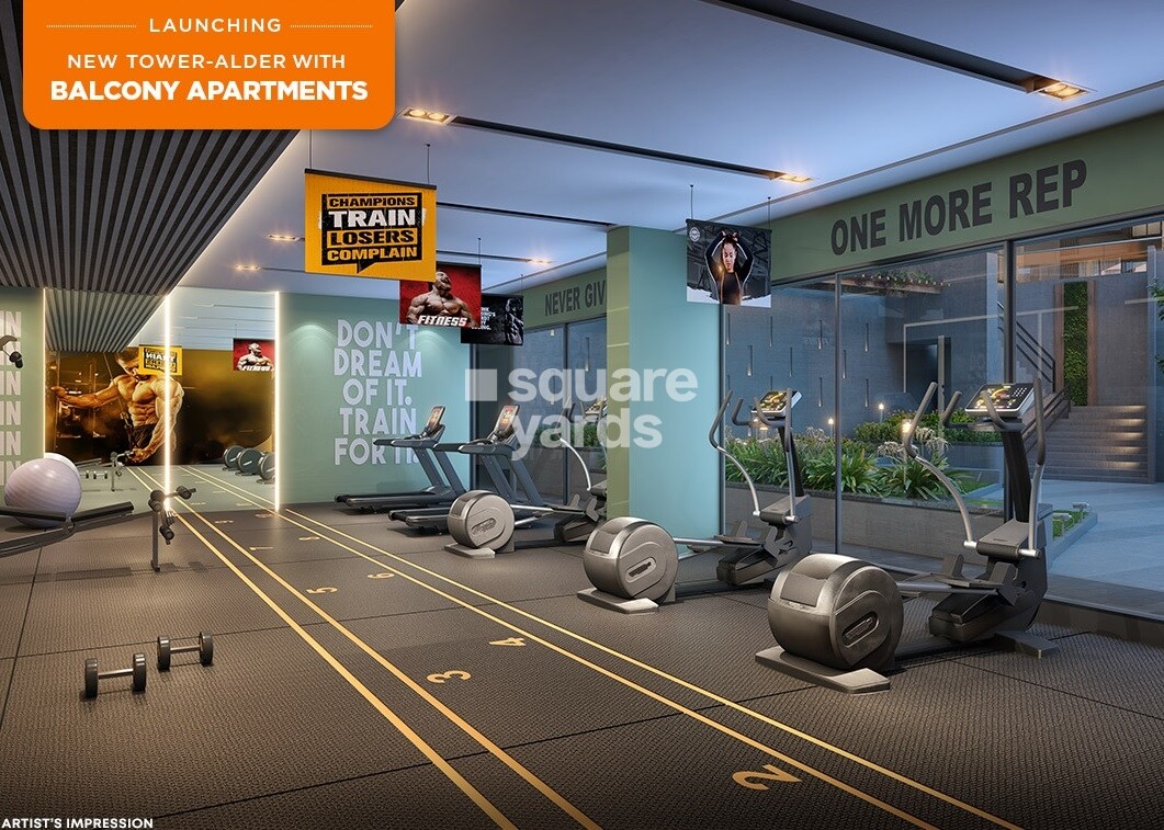 Arkade Nest Gymnasium Image