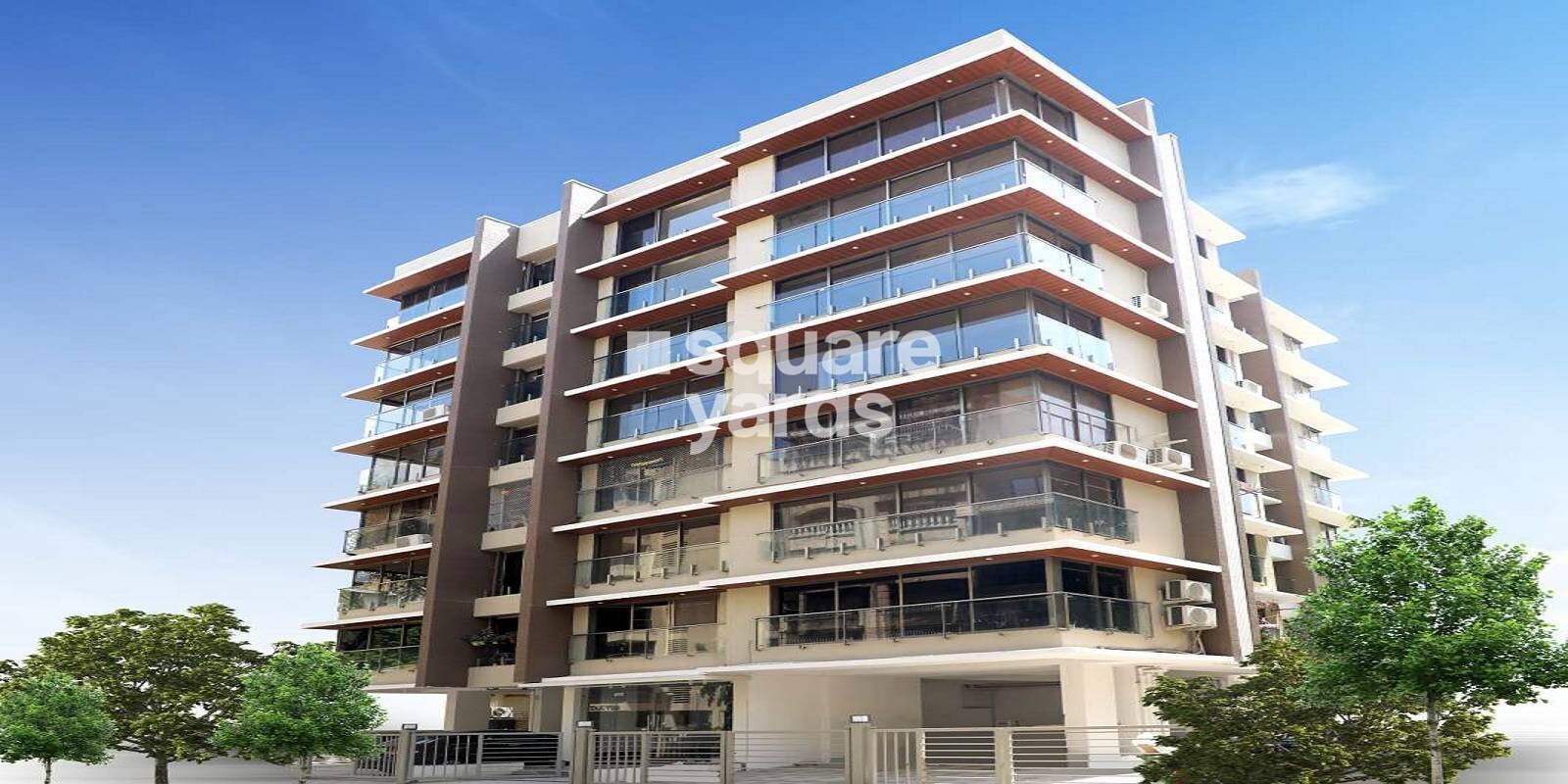 Aster Casa Celeste