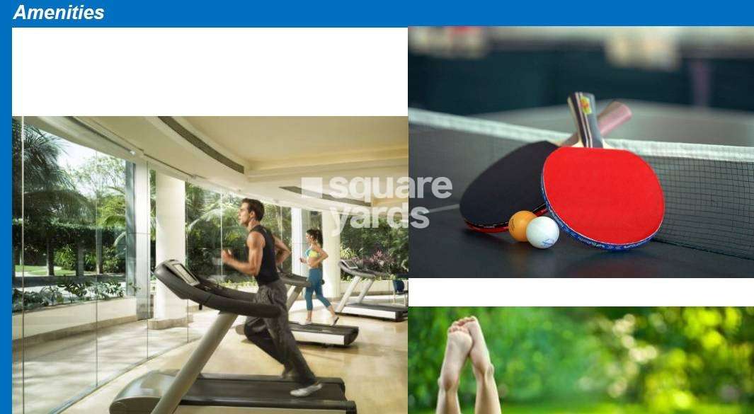 atul blue fortune project amenities features1